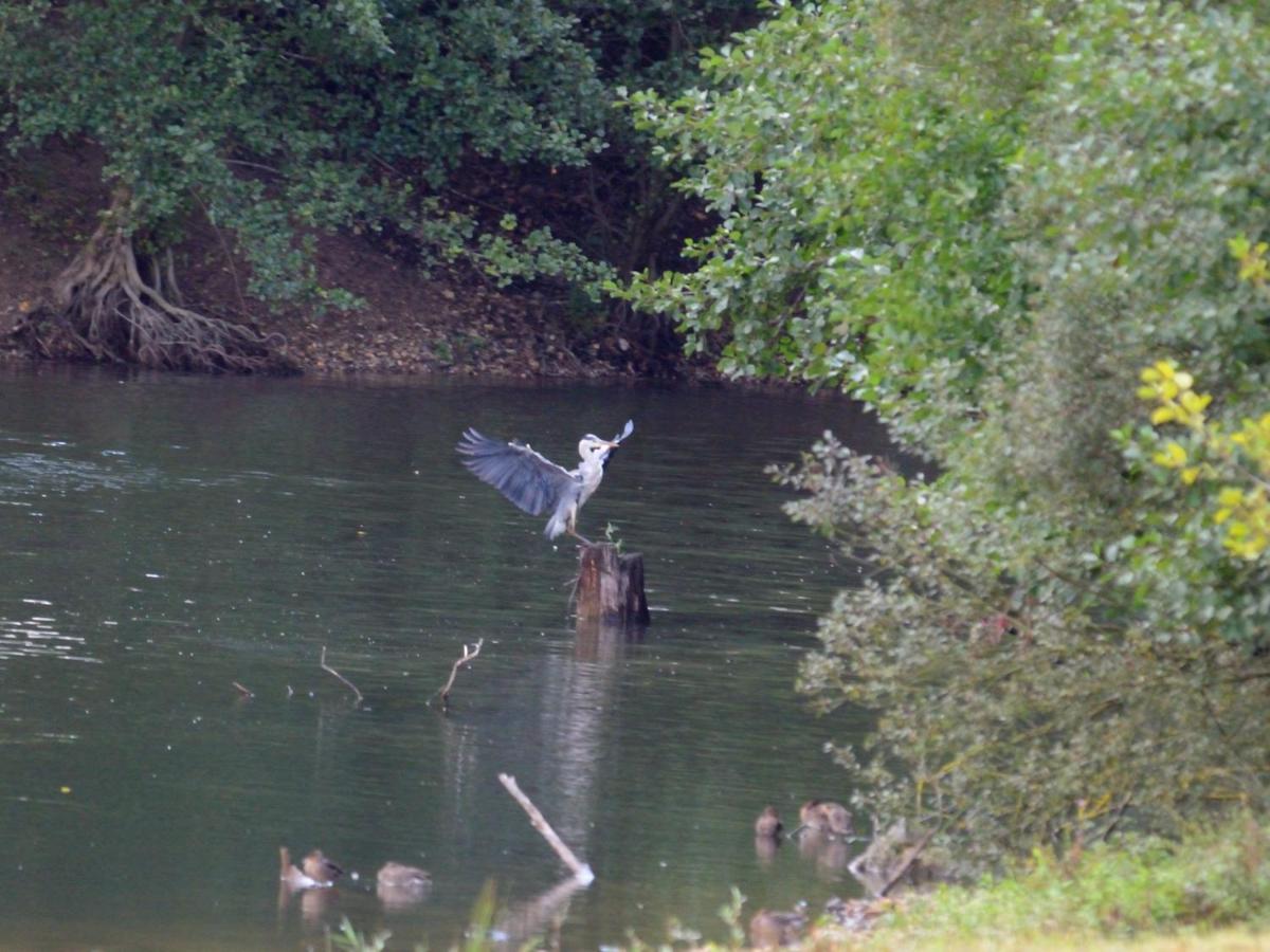 Willa La Ravine Au Bord Du Loing Montigny-sur-Loing Zewnętrze zdjęcie